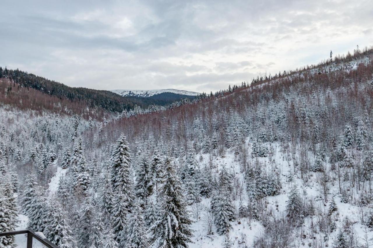 Konopka Forest Home & Spa Bukoveľ Exteriér fotografie